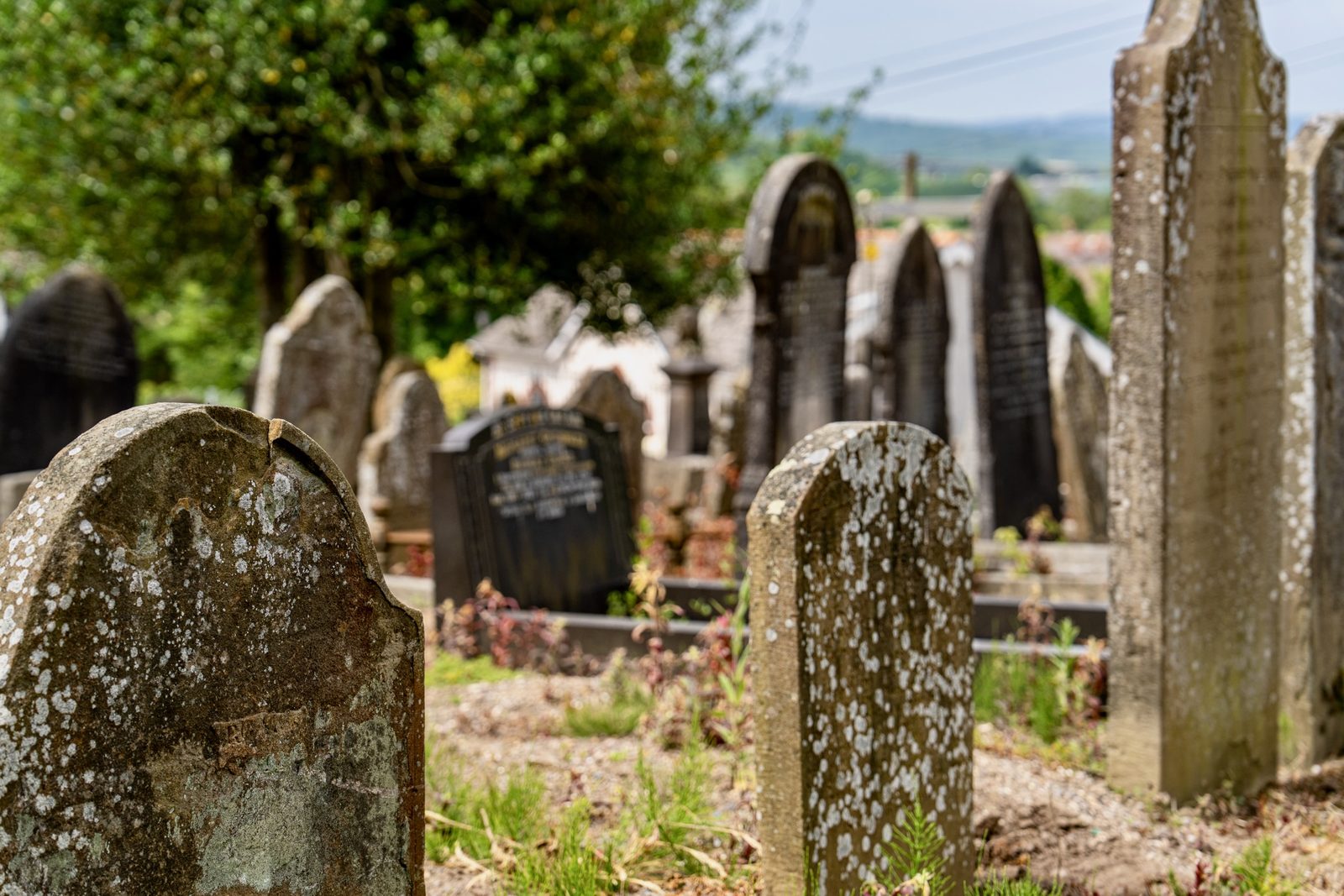 Rows of restored, upright headstones in the tidy, well-kept Saron graveyard in 2025